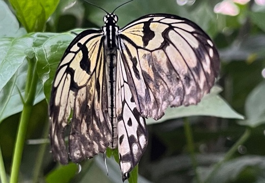 23-09-09 11-15-07 6515